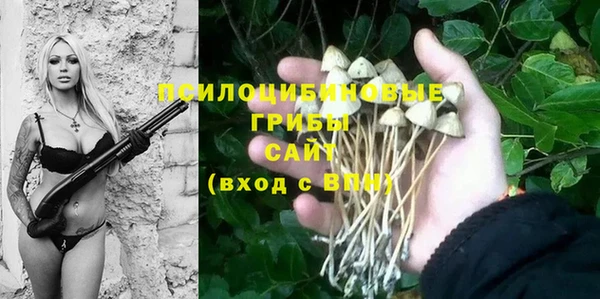 прущие крисы Баксан